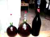 wine